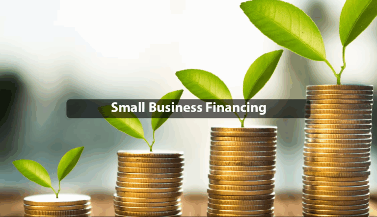 Small Business Financing (FIN-421)